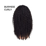 Human Hair Wig Full-head Wig